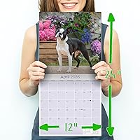 Vista 639 de Razas de Perros 2017