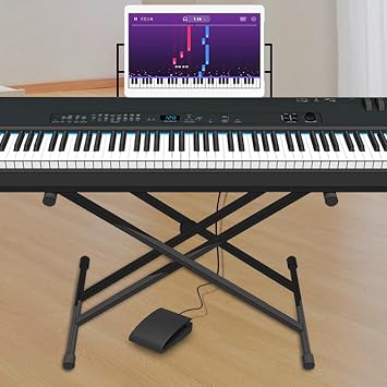 Keyboard Multifunction Pedal Foot Pedal for Various Instruments 3.5mm/6.5mm Connector