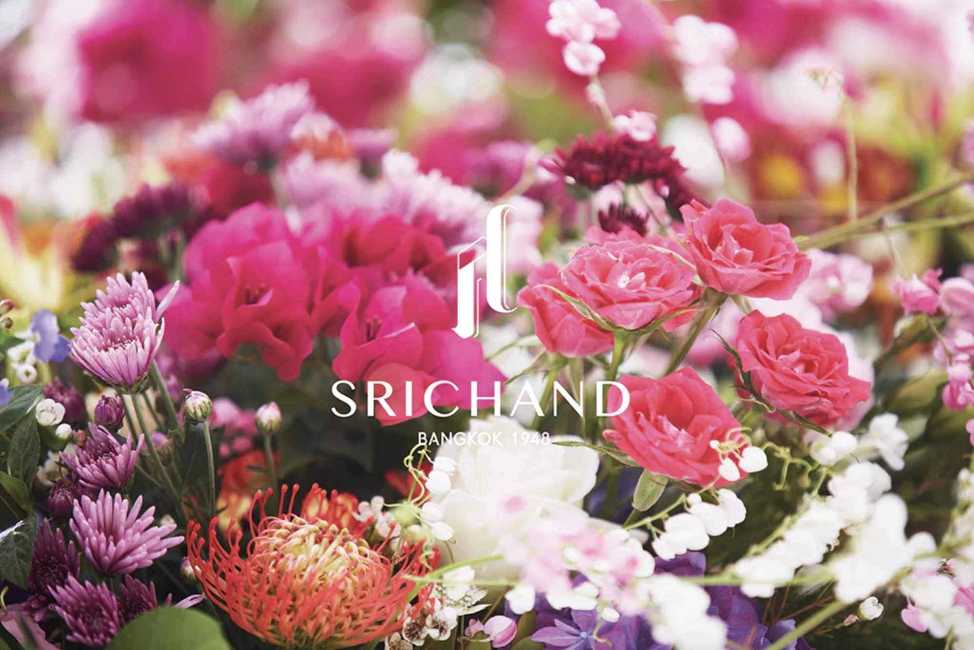 Amazon | SRICHAND シーチャン トランスルーセントパウダー 大容量30g