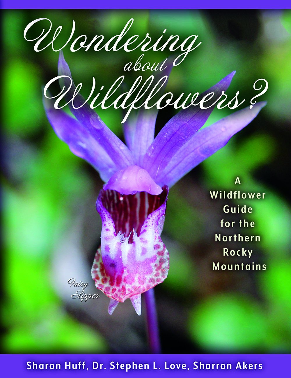 Guide Wondering About Wildflowers pour reconnaître facilement les fleurs sauvages