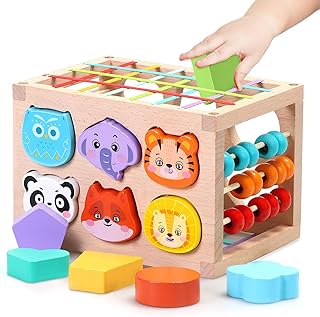 Montessori Toys for 1 2 Years Old, Wooden Montessori Shape Sorter Toys with Wooden Animal Shape Sorting,Gifts for 6-12-18 Months Baby, Boy,Girls,Toddlers,Developmental Learning Toys for Kids