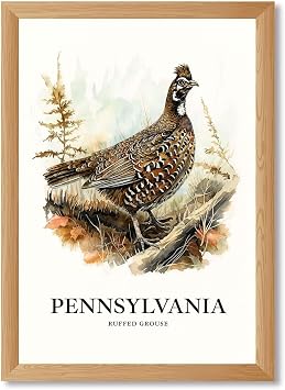 Framed Pennsylvania Ruffed Grouse Poster Canvas Print Art Vintage Rustic Wall Art Painting Pictures Wall Decor Elegant Home Decor for Living Room Bedroom Office Apartment Wood Framed,12L x16W