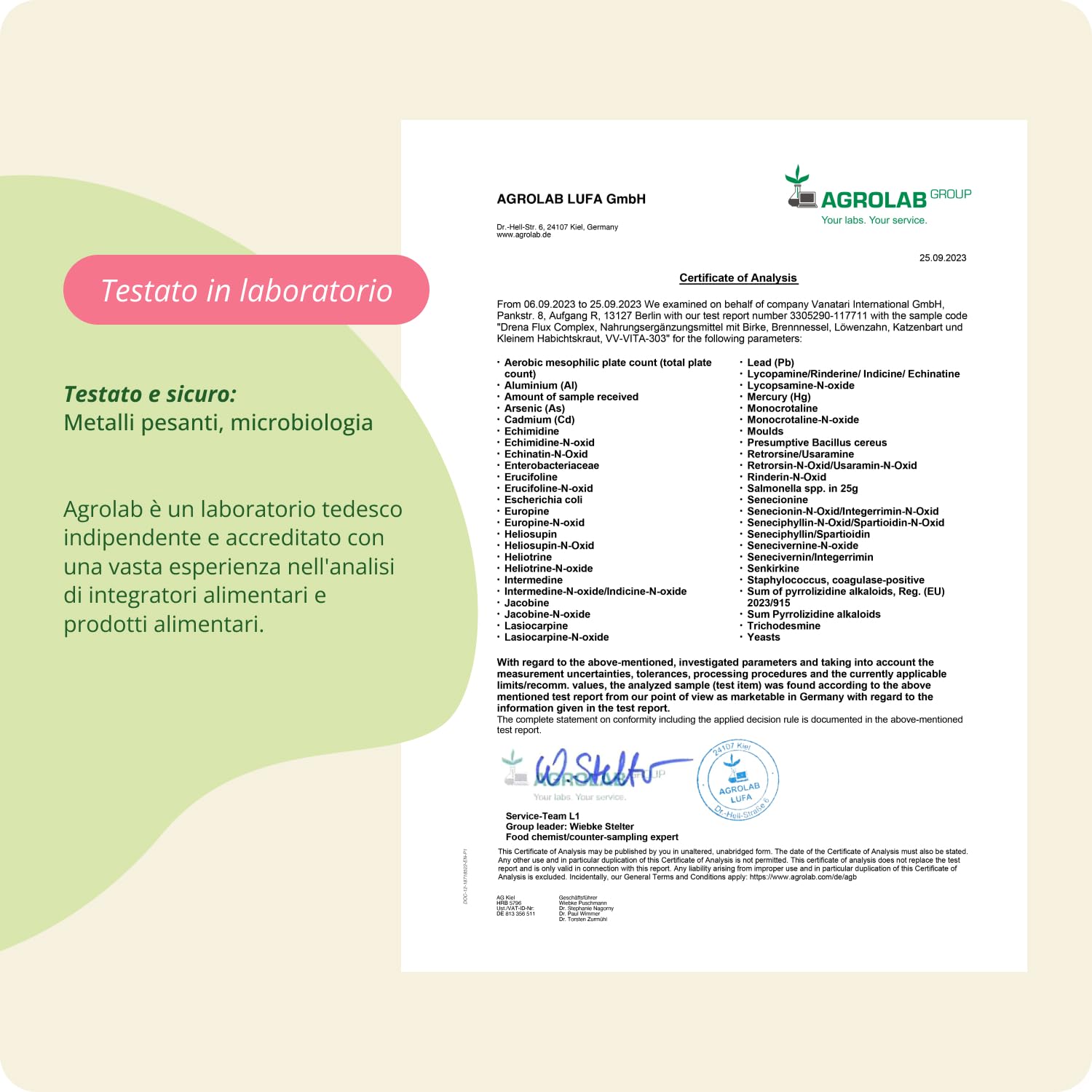 Vegavero DRENANTE Forte | con Pilosella, Tarassaco, Orthosiphon, Ortica e Betulla | 4 Mesi di Fornitura | Diuretico per Ritenzione Idrica Gambe | Natural Detox | Vegan