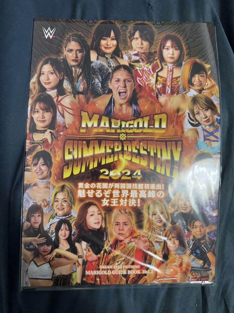女子プロレス　マリーゴールド　両国　ロイヤルシート　特典　椅子 女子プロレス マリーゴールドのロイヤルシート特典 パイプ椅子