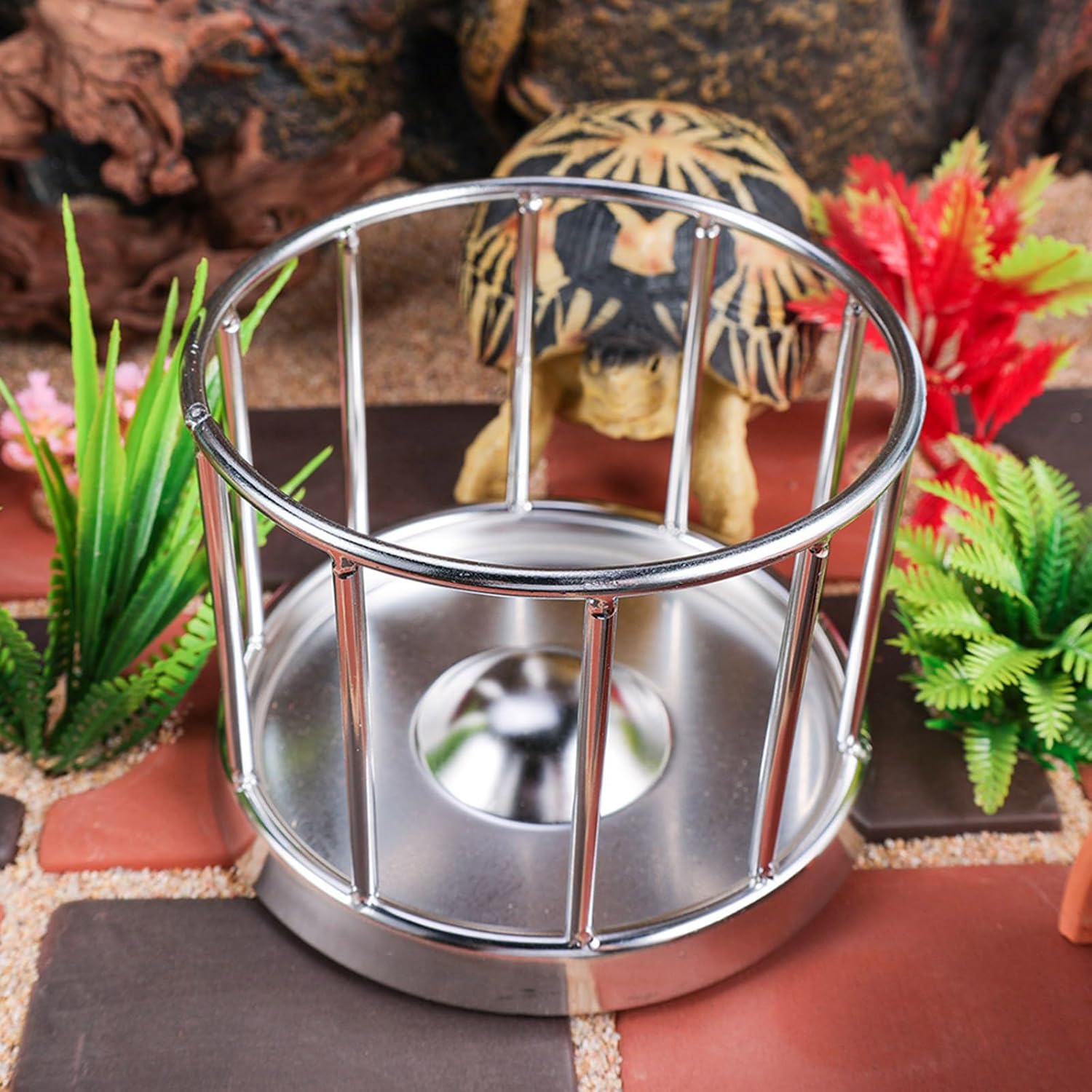 Turtles Feeding Dish Terrapins Water Dish Stainless Steel Durability Reptiles Bowl for Safe Reptiles Handling Secure Feeding Platform