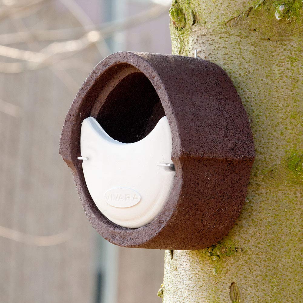 CJ Wildlife Nistkasten – Vogelnistkasten für draußen wetterfest – Holzbeton Woodstone Braun – für Rotkehlchen Zaunkönige – langlebig, isoliert, atmungsaktiv