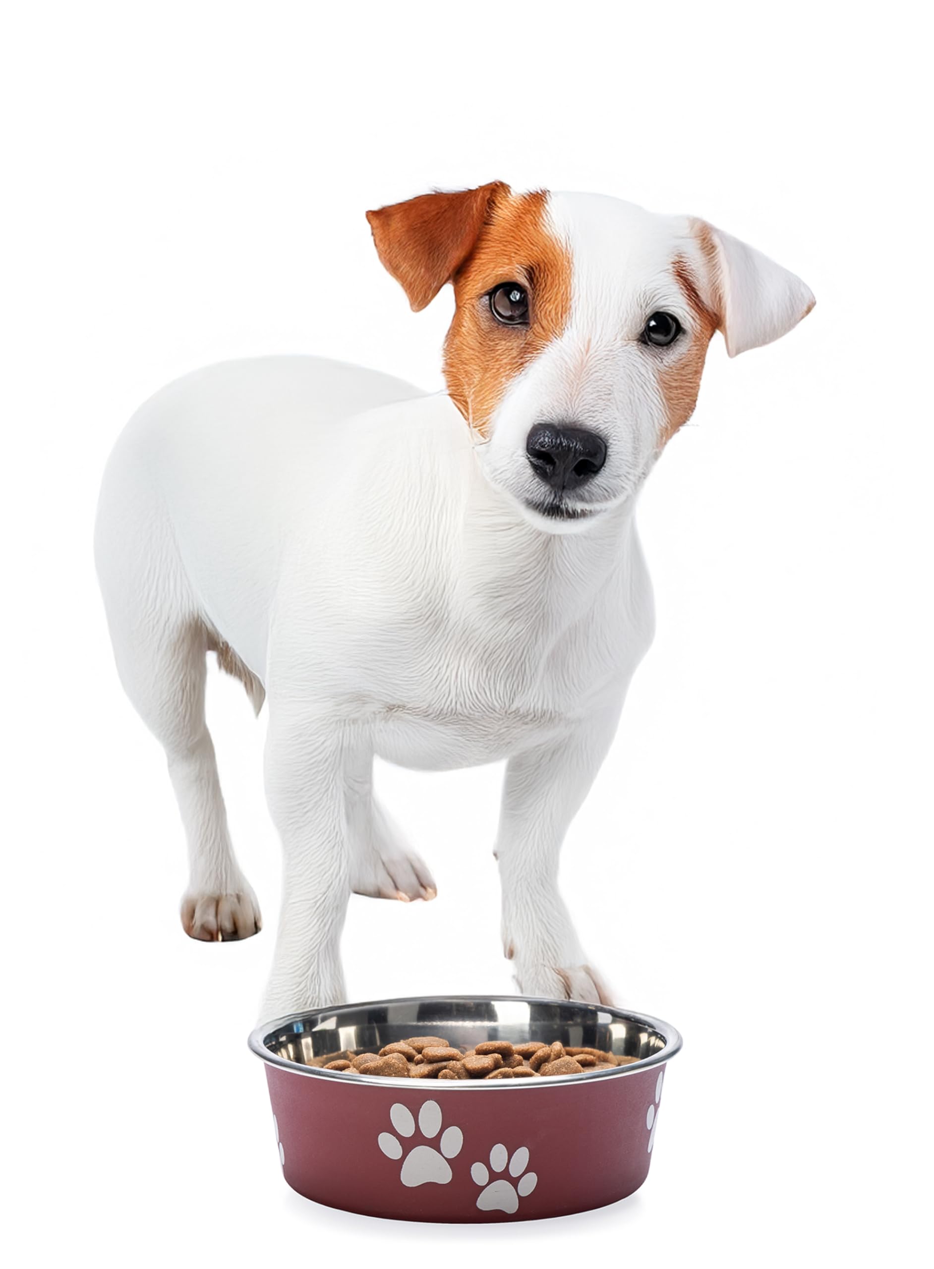 Karlie Ascar Dog Bowls, Stainless Steel, Dark Red, 450 ml, Diameter 12-14 cm, darkred - Image 2