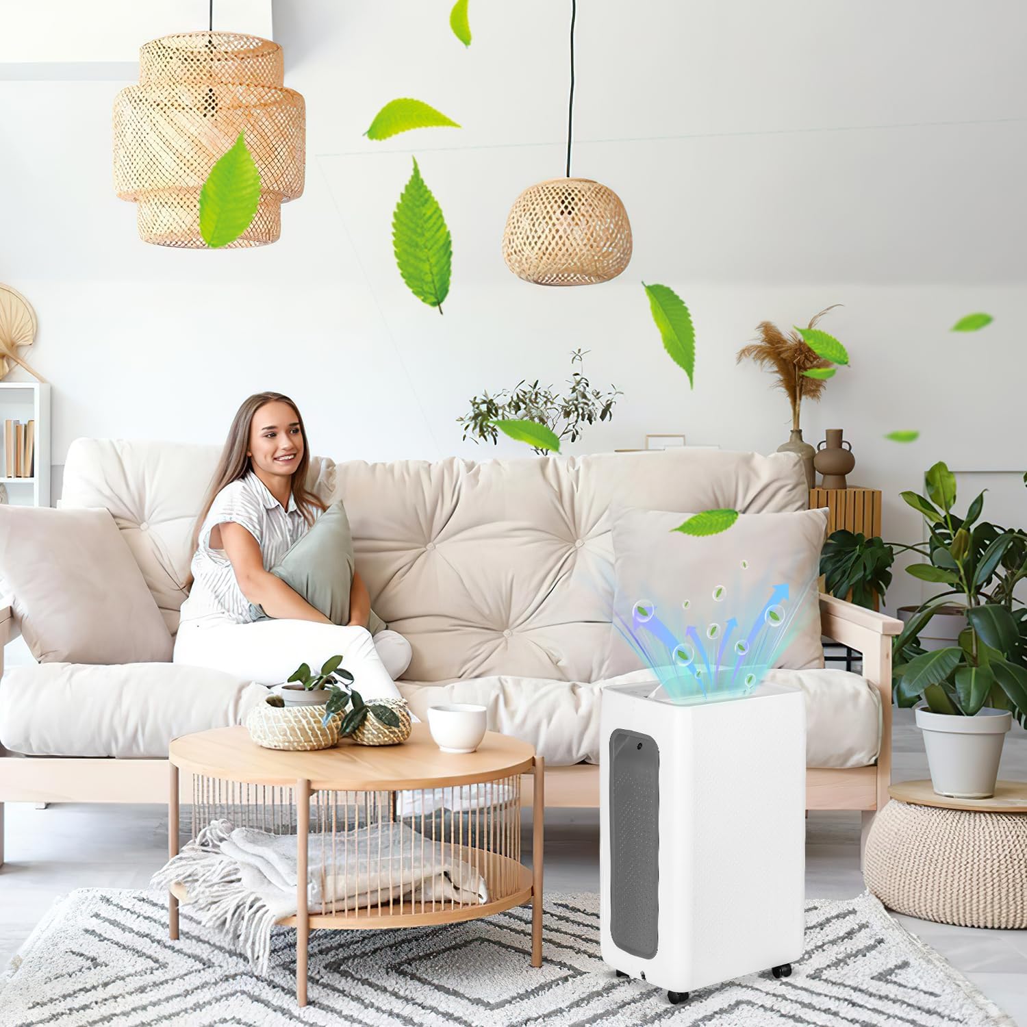 Foto del Deshumidificador