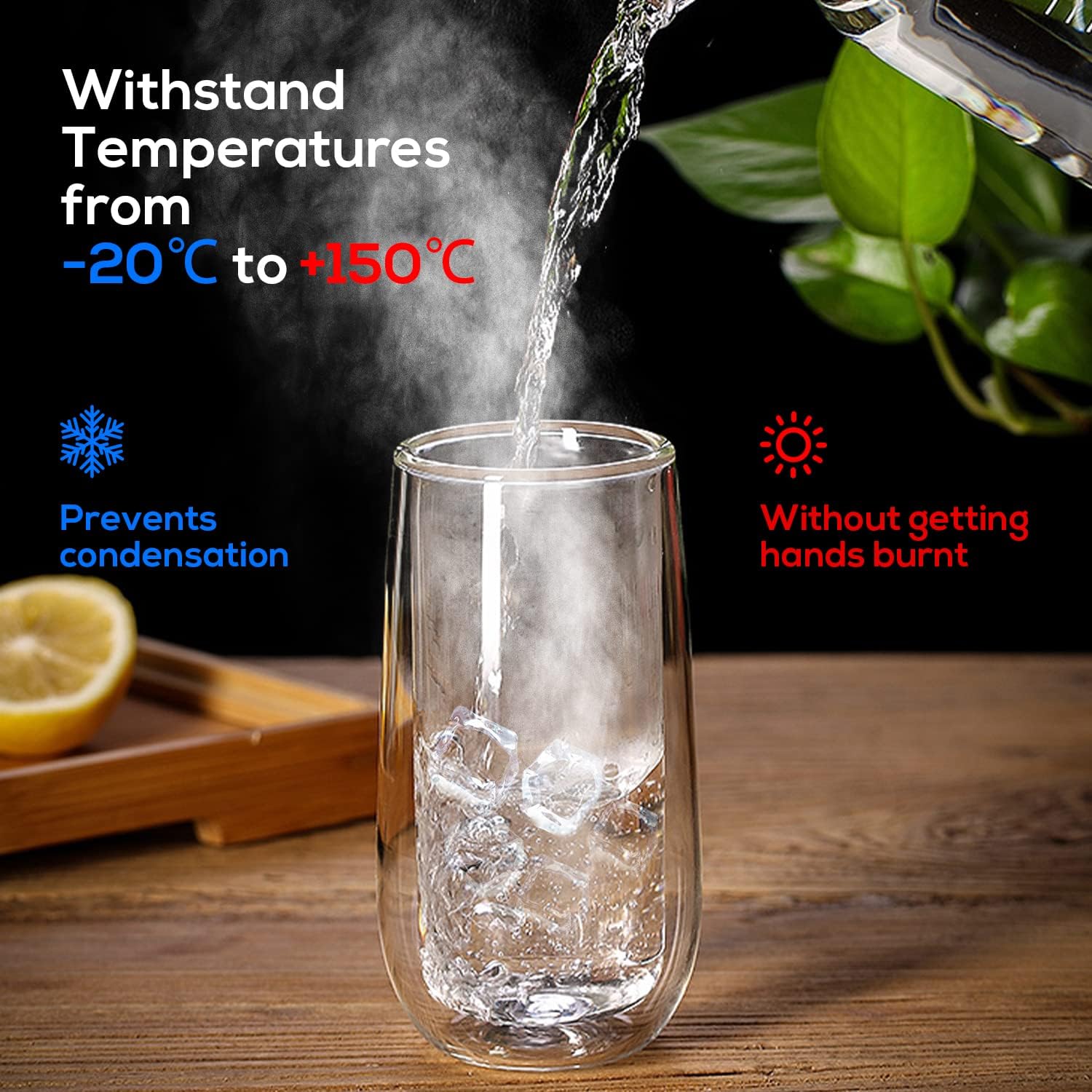 CEROBEAR 2x250ml Double Walled Coffee Glass Mugs for Hot Cold Drink