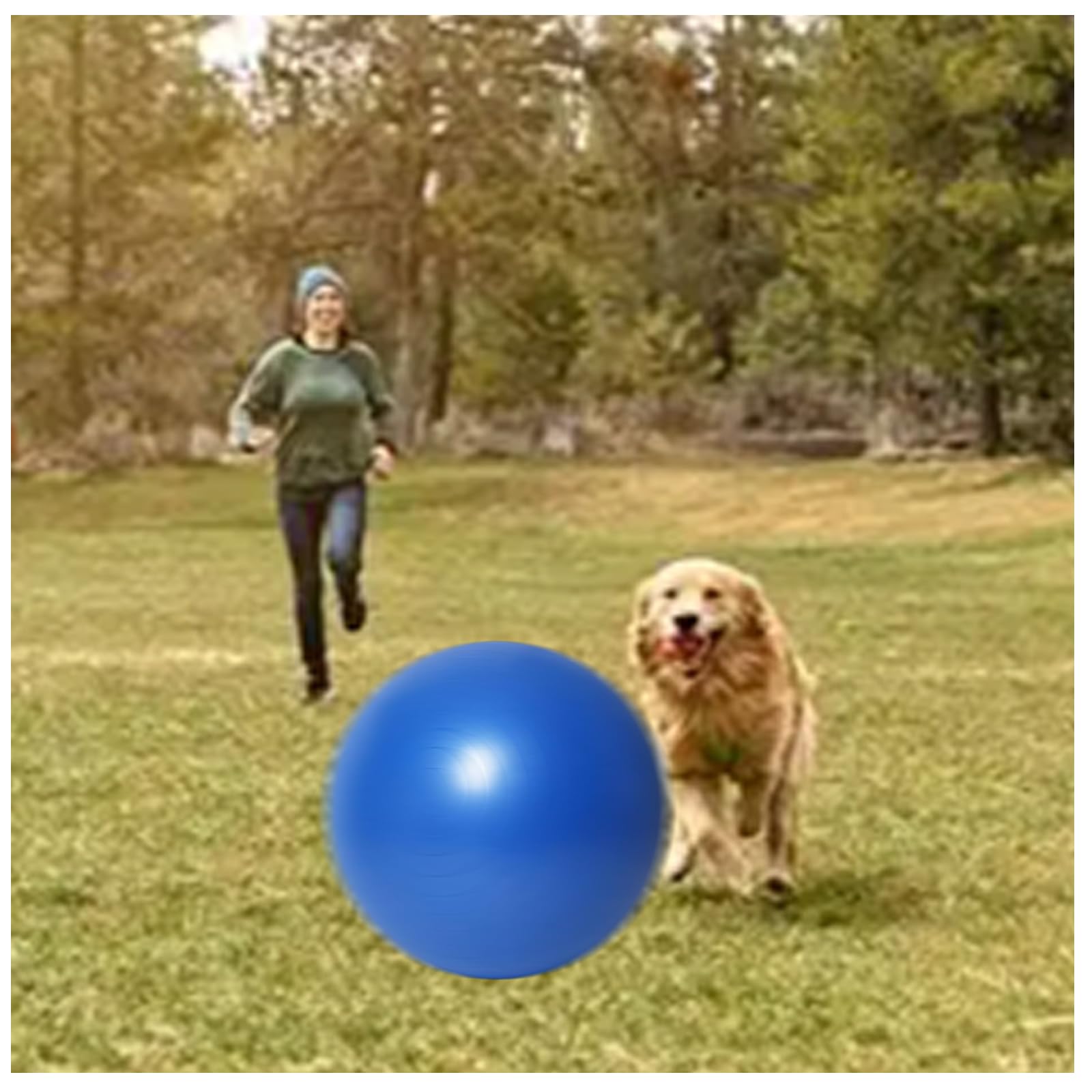 25 inch Herding Ball for Dogs