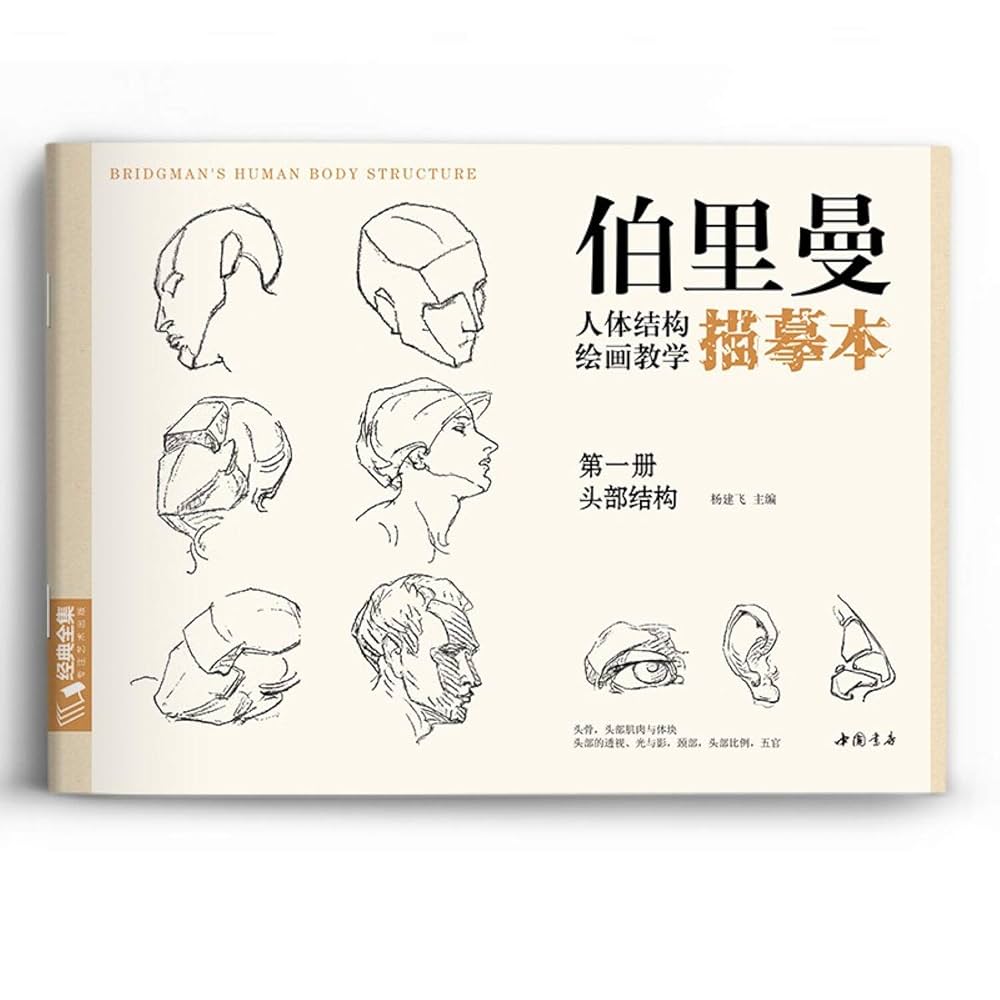 Amazon.com: 伯里曼人体结构绘画教学描摹本(共4册)/经典全集