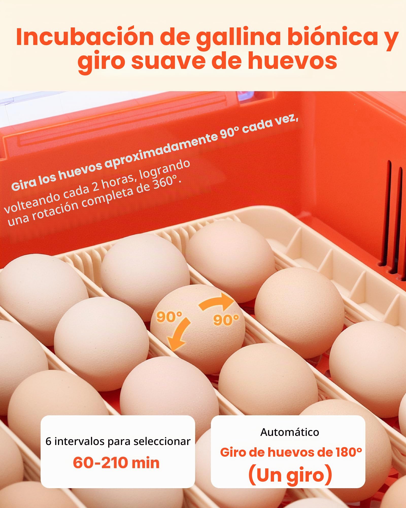 VEVOR Incubadora Huevos, Volteadora Automática con Indicador LED, Pantalla de Temperatura y Control de Humedad, Ventana Transparente con Vista 360°, para Pollitos, Patos (36 Huevos)