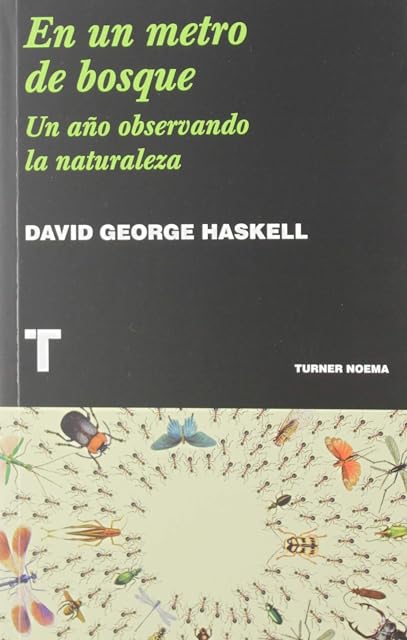 Portada de En un metro de bosque