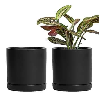 植木鉢Ｄ-103〜105 Amazon.co.jp: 植木鉢 flowerpot プランター 鉢 陶器鉢 植木鉢