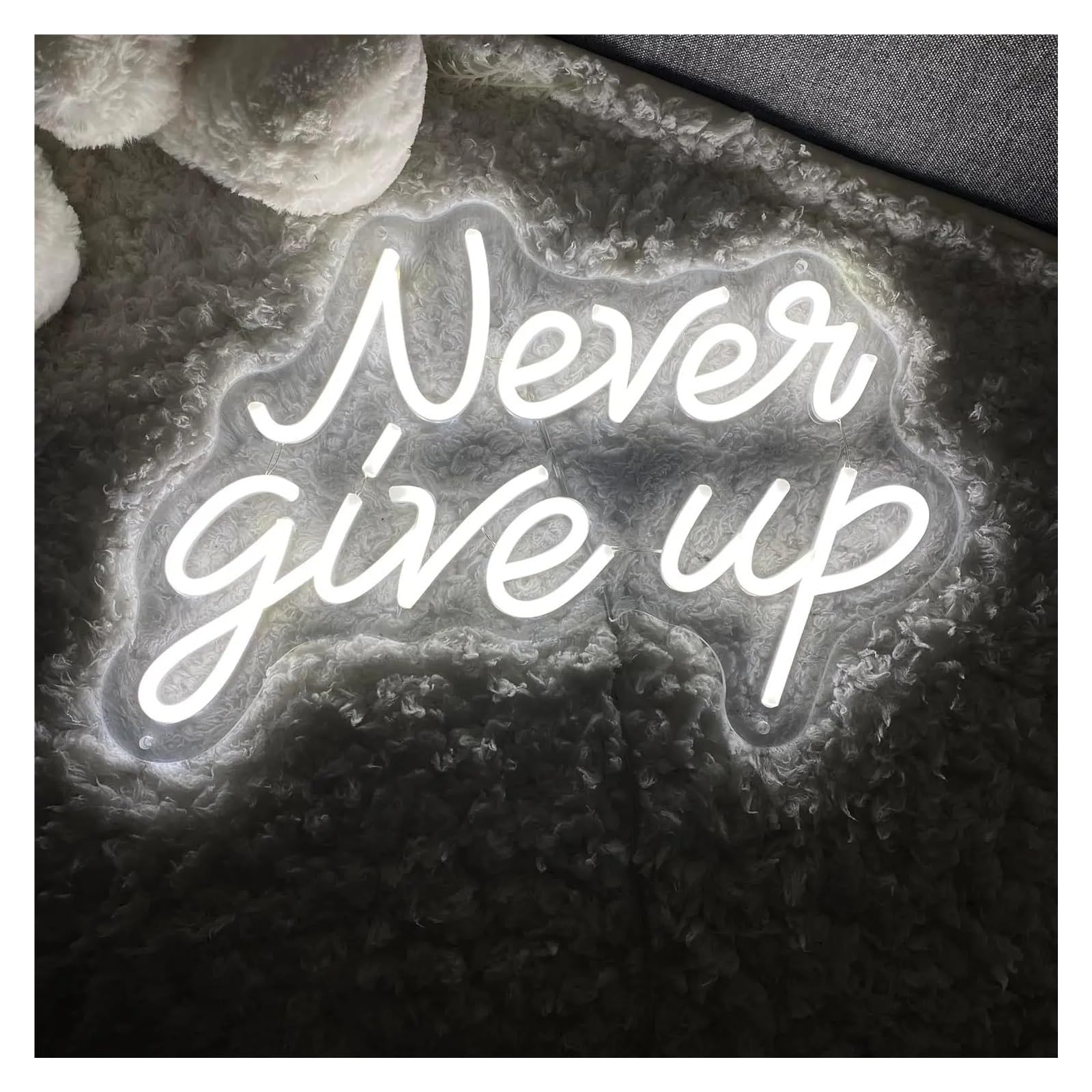 LEMST Signs Lamp Never Give Up Neon Sign Light Dimmable for Home Office Gym Bedroom Game Room Wall Decor USB Powered Lamp 40cmx26cm