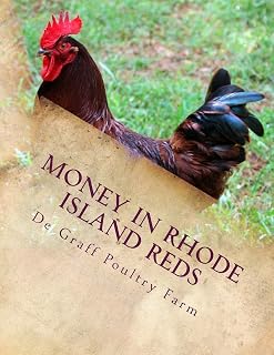 Money in Rhode Island Reds