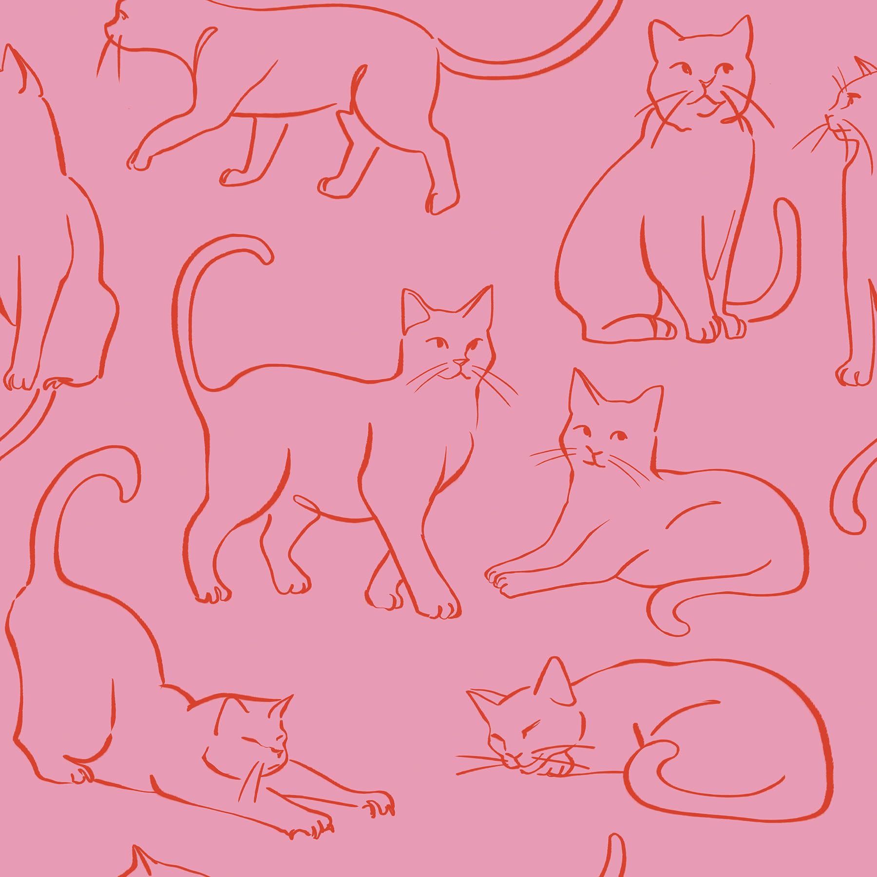 Papier peint autocollant rose chat pour relooker un mur sans colle