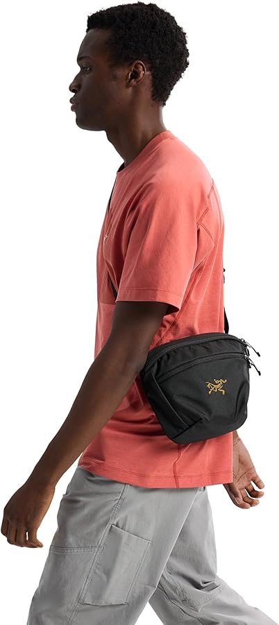 Amazon.co.jp: [アークテリクス] ARCTERYX マンティス2ウエストパック