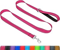 Taglory Reflective Dog Leash for Small Dogs - Soft Neoprene Padded Handle, Double-Sided Reflective, 3/4" x 4FT Hot Pink, Under 20lbs