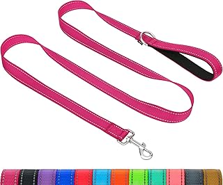 Taglory Dog Leash for Small Dogs &vert; Double-Sided Reflective &vert; Soft Neoprene Padded Handle &vert; 3&sol;4 inch by 6 ft &vert; Fit Small Medium Large Breeds Dogs Under 20lbs &vert; Hot Pink