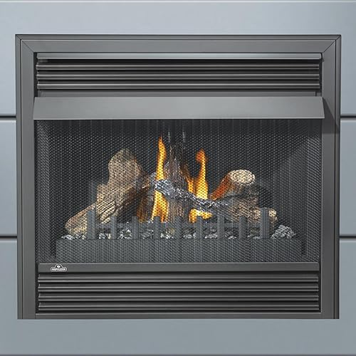 8 Best Gas Fireplace Inserts Reviews + Guide