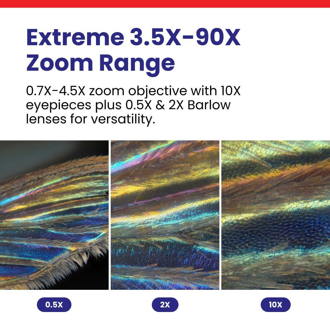 3.5X-90X Microscopio stereo zoom, su supporto doppio