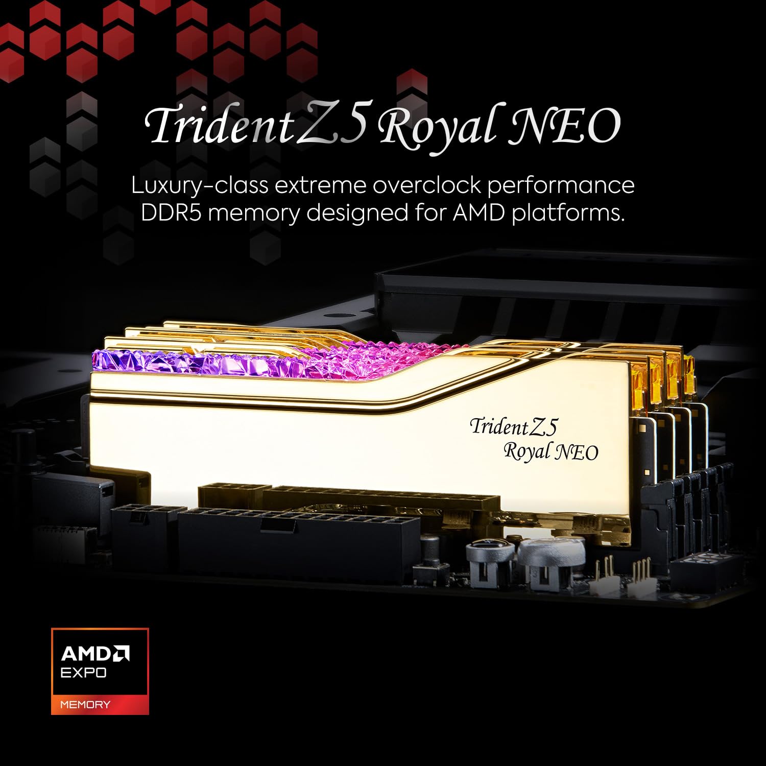 G.SKILL Trident Z5 Royal Neo Series DDR5 RAM (AMD EXPO) 64GB