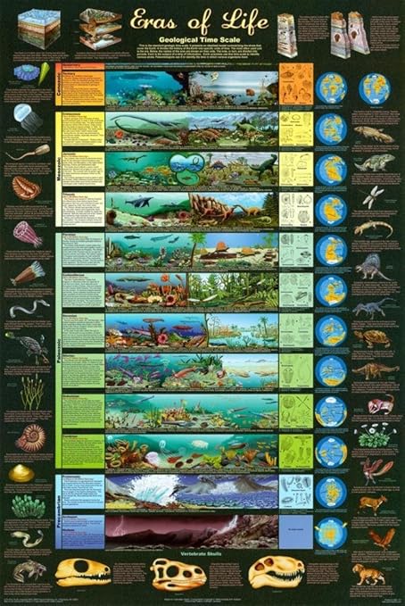 El dólar cierra en R$ 5,22 con la posibilidad de un alto al fuego en Irán 2 71RT4Ut+aSL. AC SY679 Eras of Life Geological Time Scale Educational Science Chart Poster 24 x 36