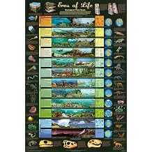 Laminated Eras of Life Geological Time Scale Educational Science Chart Poster 24 x 36