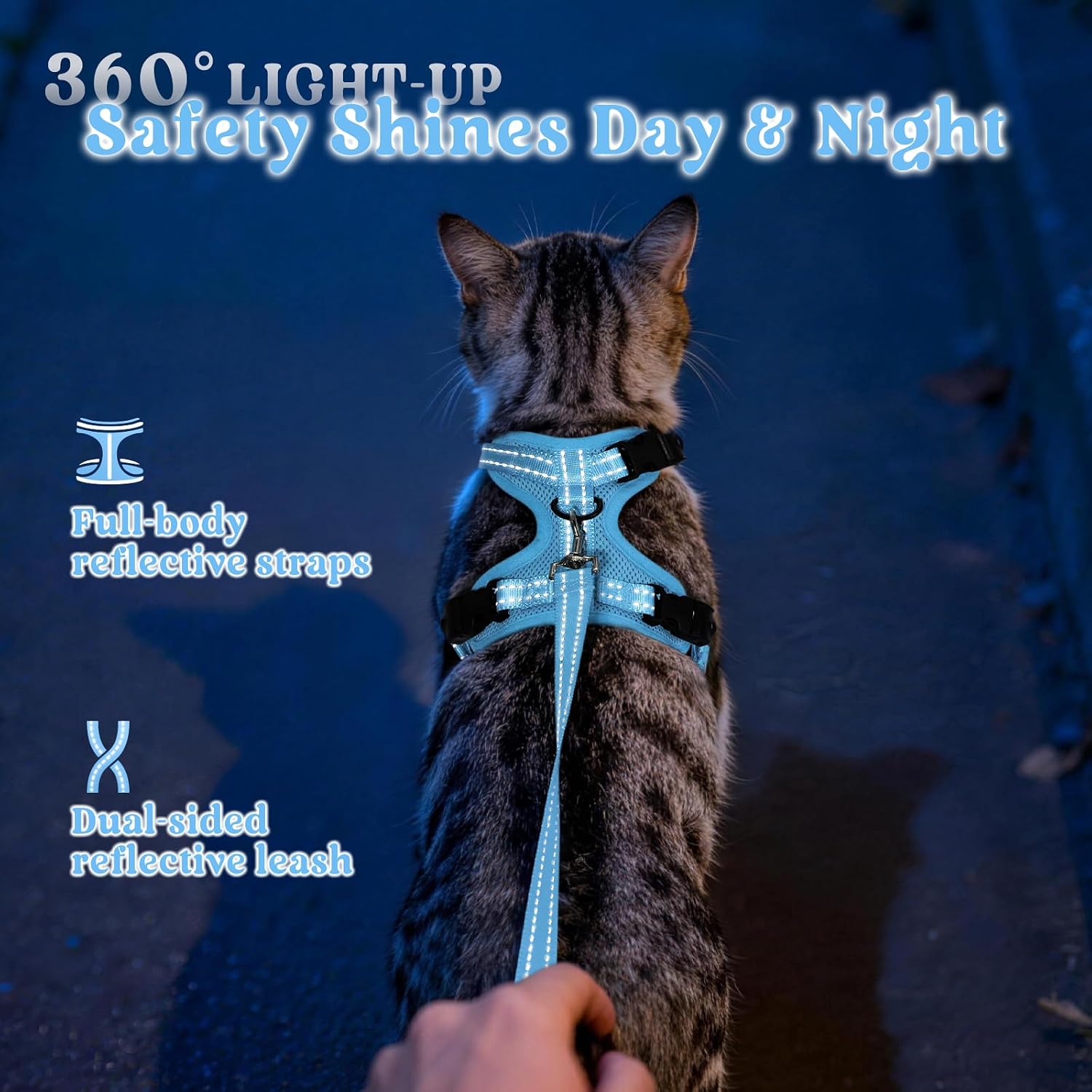 rabbitgoo Cat Harness and Leash, Escape Proof Vest with 3 Adjustable Buckles, Soft Comfortable Kitten Harness, Easy to Wear, Reflective for Safe Outdoor Walking, XS, Sky Blue