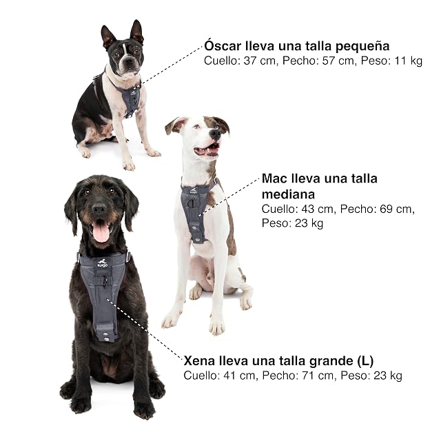 Foto 6 de 8 de Kurgo Tru Fit - Arnés para Perros, para Paseo y Entrenamiento, Antitirones, con Clip Frontal, Correa…