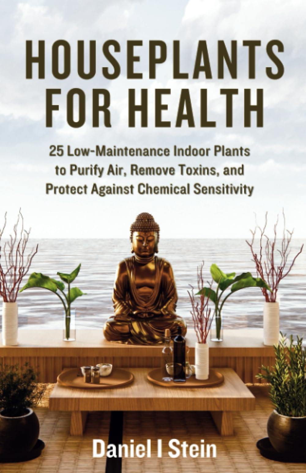 Houseplants for Health: Beginner Growing Guides for 25 Low-Maintenance Indoor Plants to Purify Air, Remove Toxins, and Protect Against Chemical ... Improvement (Simple Sustainable Living)