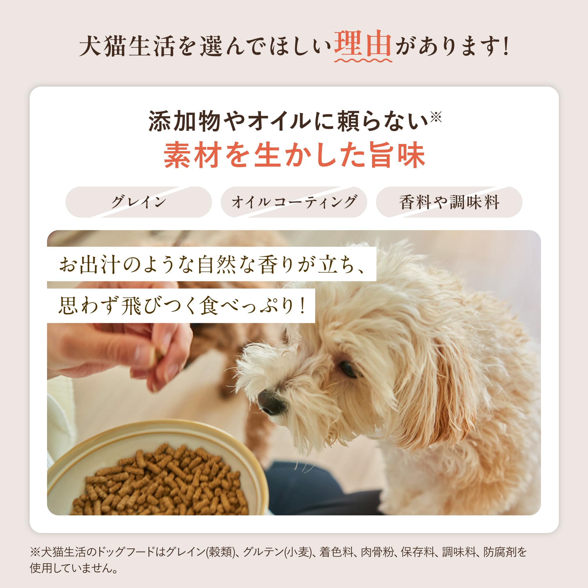 Amazon.co.jp: [犬猫生活] ドックフード 全年齢 [国産 無添加 獣医師