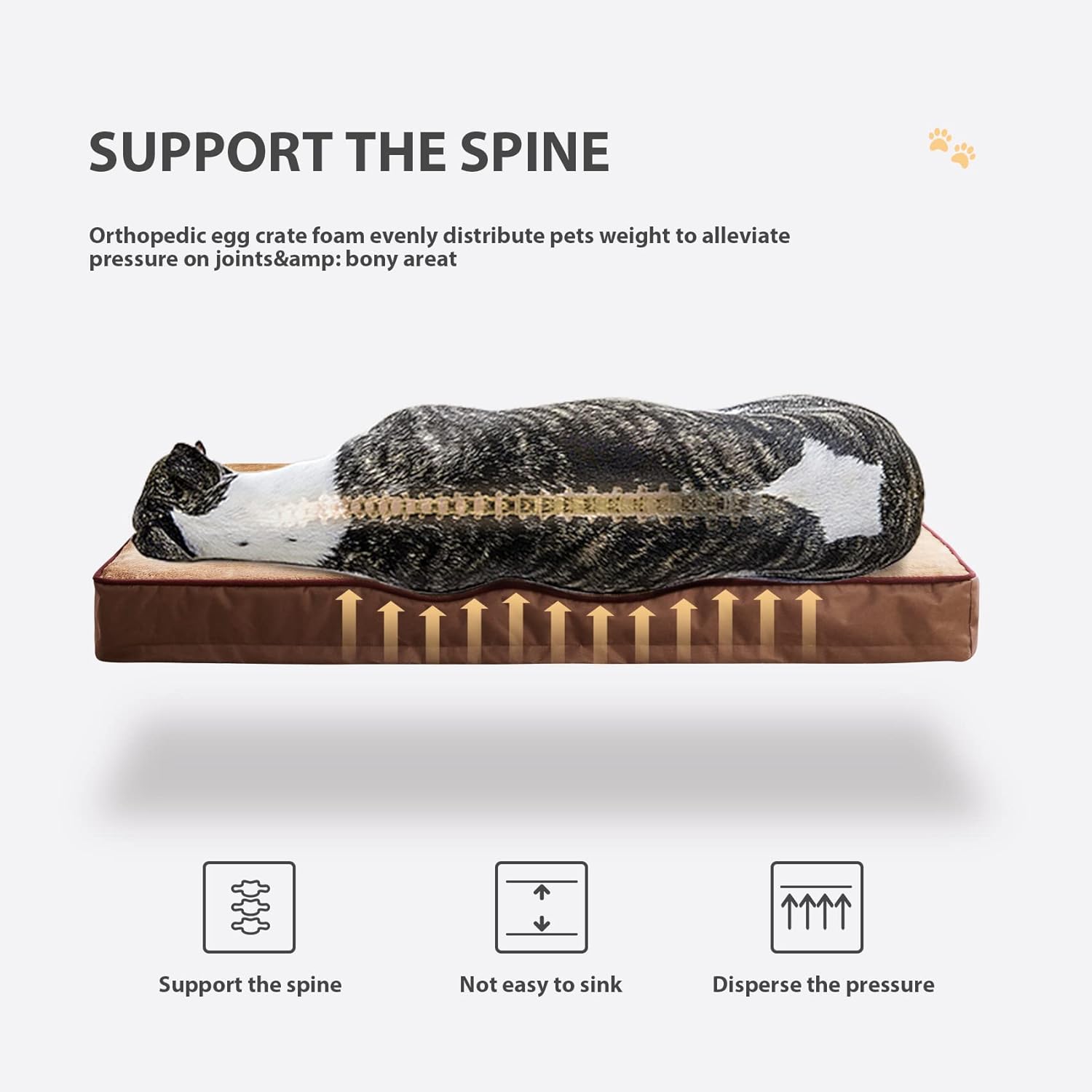 BFPETHOME Large Dog Bed for Large Dogs ,Egg Crate Foam Large Dog Mattress ,Orthopedic Dog Bed with Removable Washable and Wear Resistant Cover and Nonskid Bottom : Pet Supplies