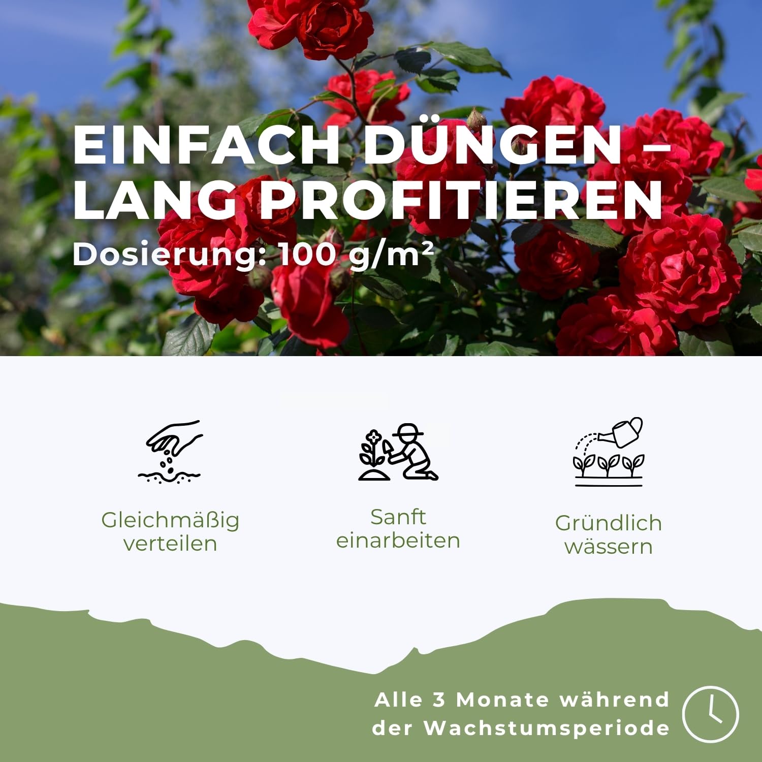 Flora Boost PRO Rosen Dünger 5 kg I Langzeitdünger für Edel-, Beet-, Kletter- & Strauchrosen I Granulat für üppige Blüten, kräftiges Wachstum & gesunde Rosen