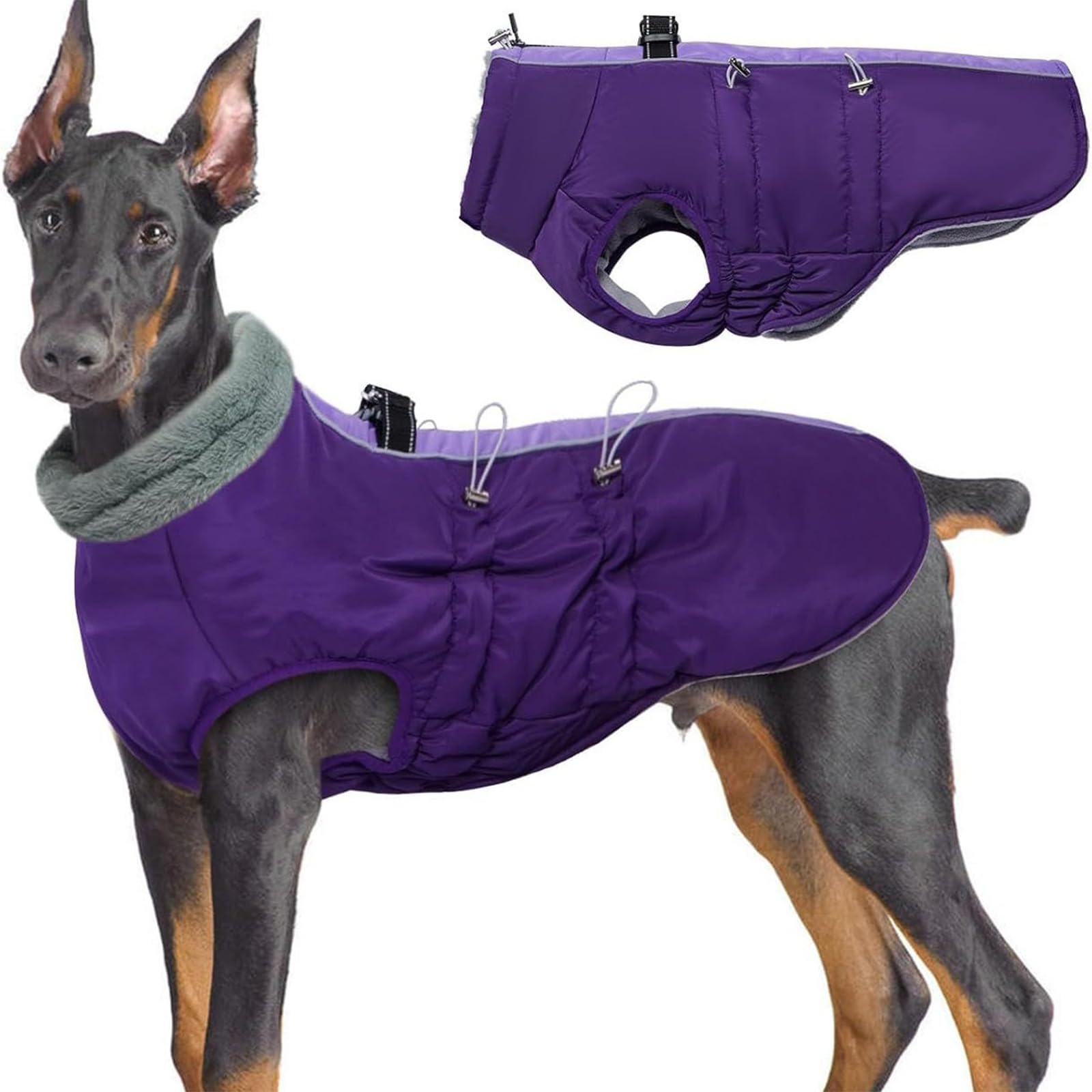 Manteau isolant pour chien protégeant du vent et du froid