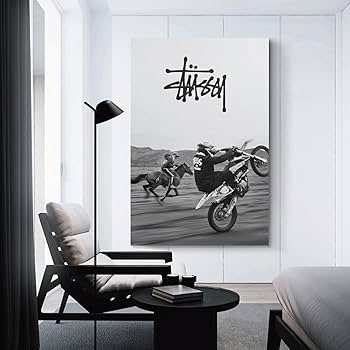 Amazon.com: Stussy Streetwear Poster Aesthetic Racer Car