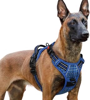 rabbitgoo Dog Harness for Large, Updated Easy On & Off with 3 Buckles | No Pull No Choke, Walking with 2 Clips and Handle, Adjustable Soft Reflective, Blue Plaid, X-Large