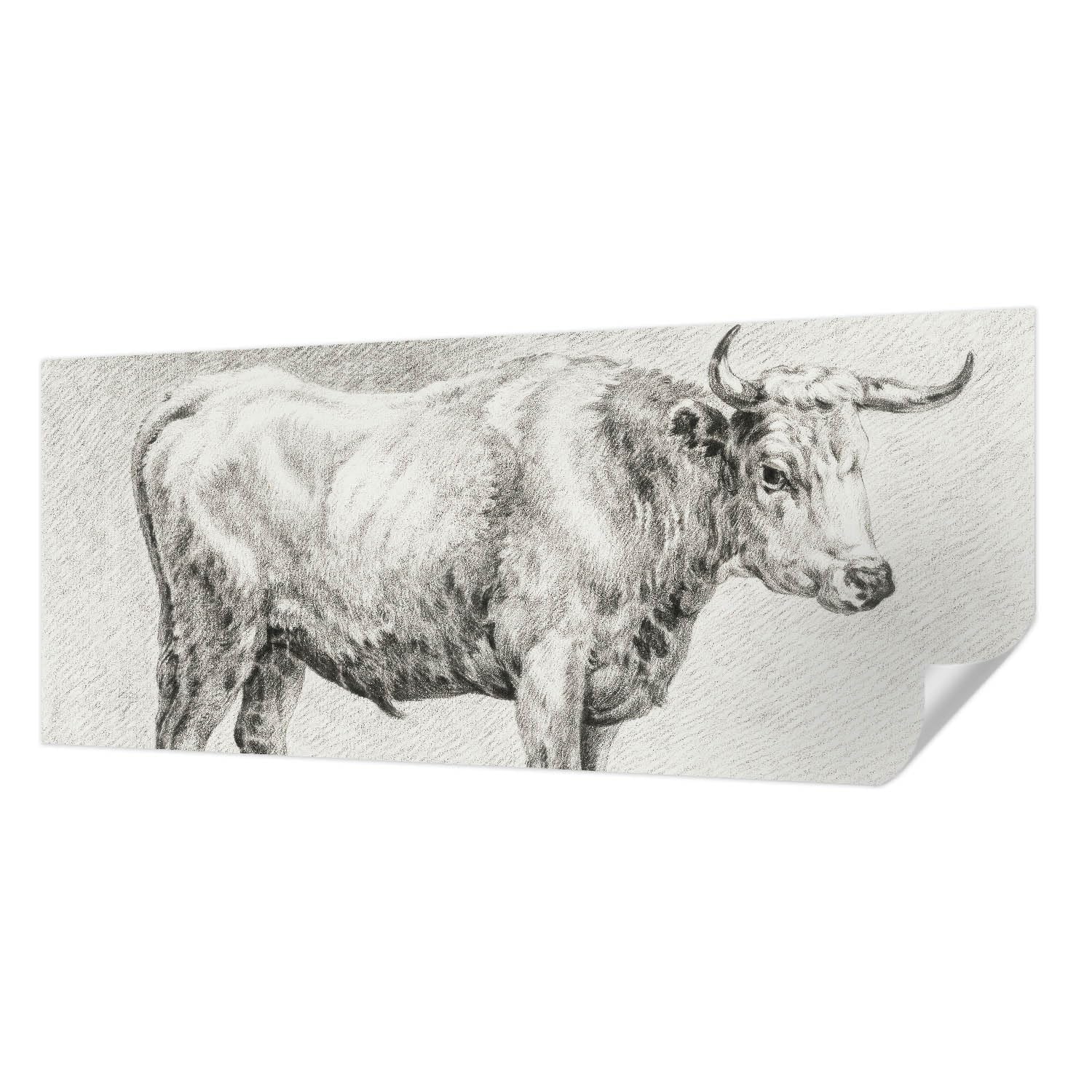 Décor mural adhésif 250x104 cm Crayon Bull pour salon et chambre