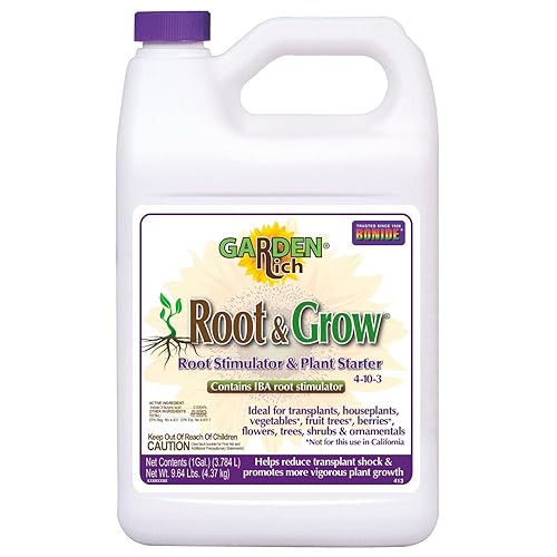 ROOT-N-CRECIMIENTO CONC. GAL