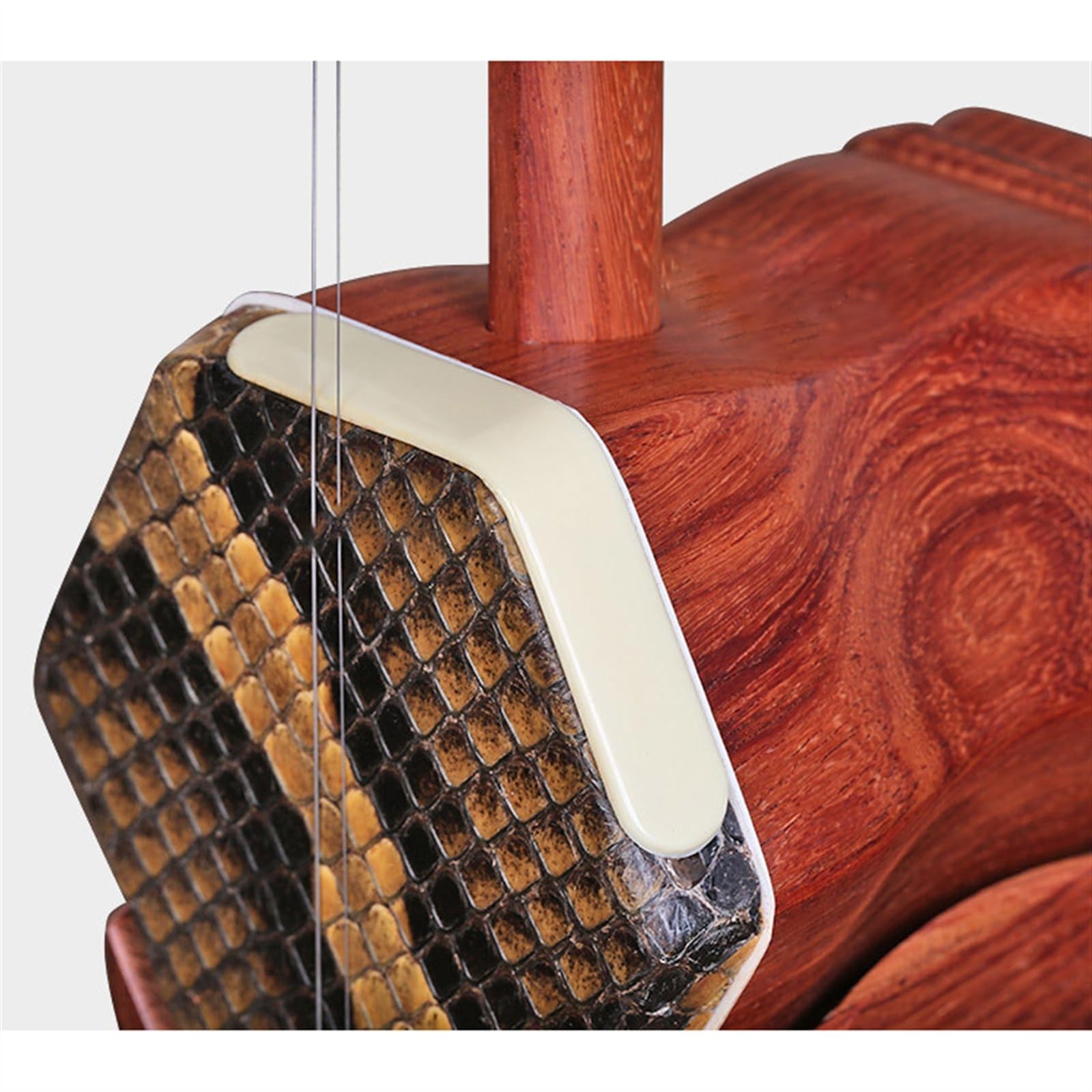 Chinois Erhu Instrument Erhu Professionnel Hexagonal En Bois De Rose, Avec Étui Et Ensemble Complet D'accessoires
