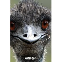 Emu Notebook blank lined composition journal | Emu notebook | 100 pages