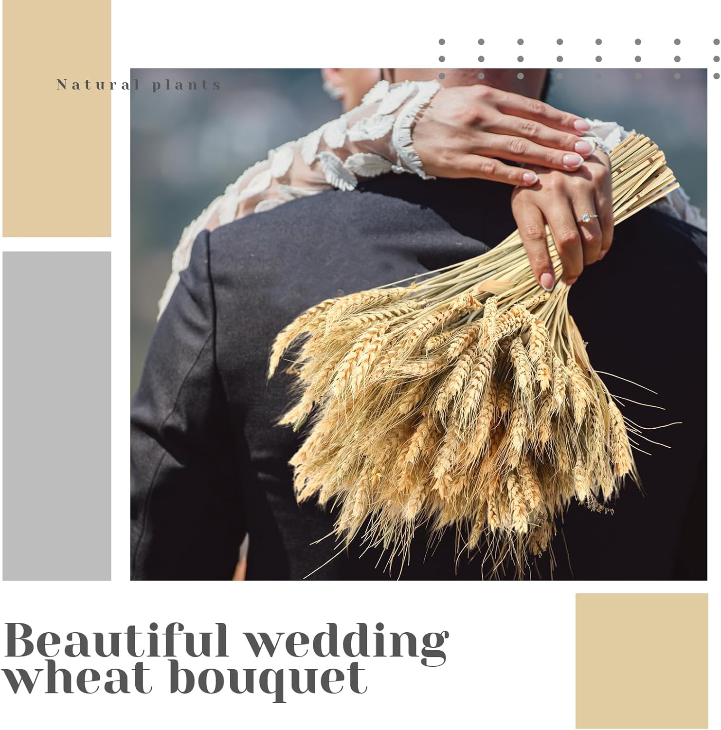 Geosar 800 Stems Dried Wheat Stalks for Decor Natural Wheat Grass Sheaves Bundle Farmhouse Artificial Flowers Arrangement for DIY Wedding Table Home Centerpieces Party Decorative (16 Inch)