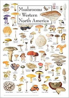 Earth Sky + Water - Mushrooms of Western North America - Poster