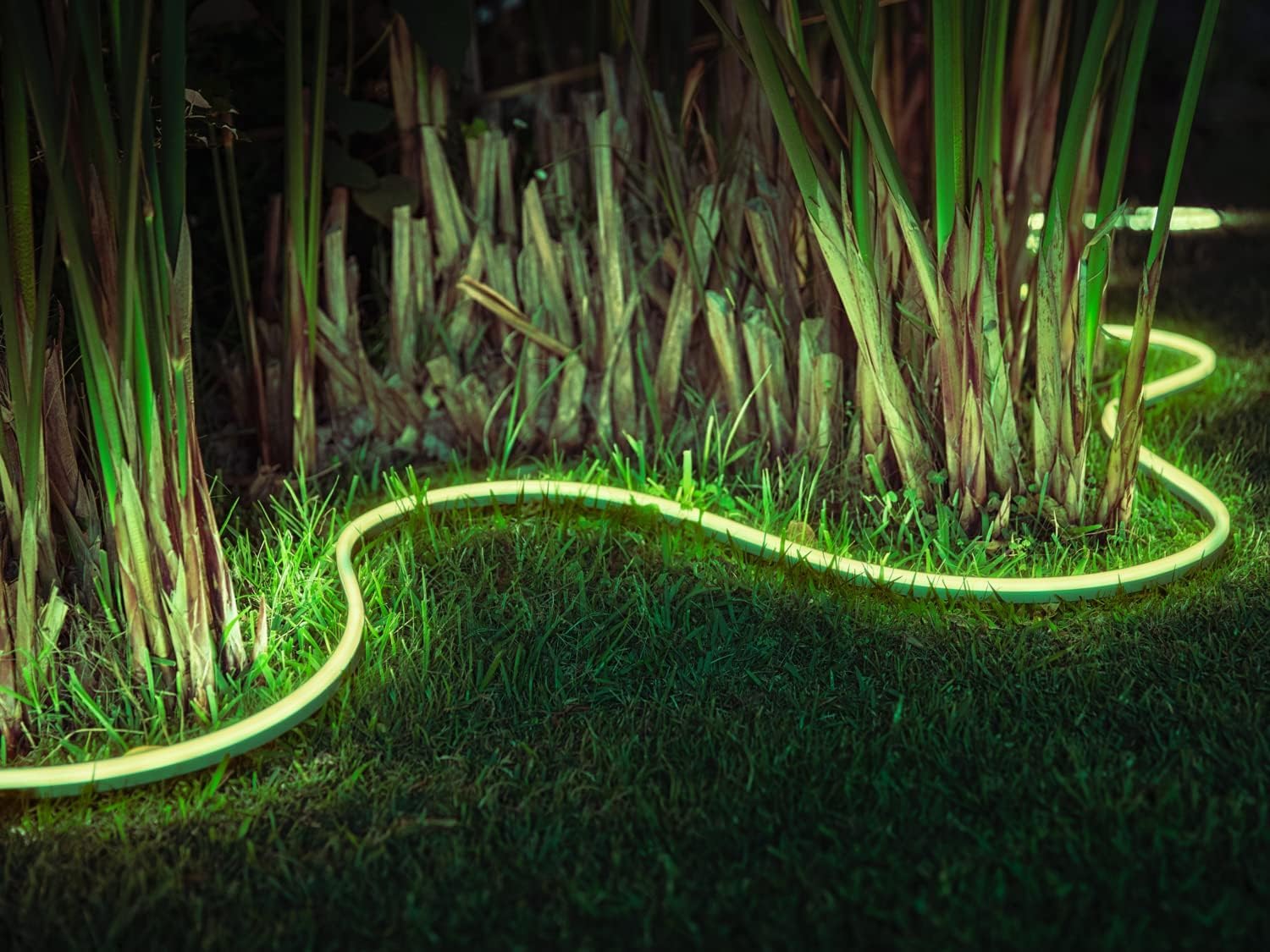 Philips Hue White and Color Ambiance Striscia LED Smart, per Esterni e Interni, Bluetooh, Alimentatore Incluso, 39.5W, 5m