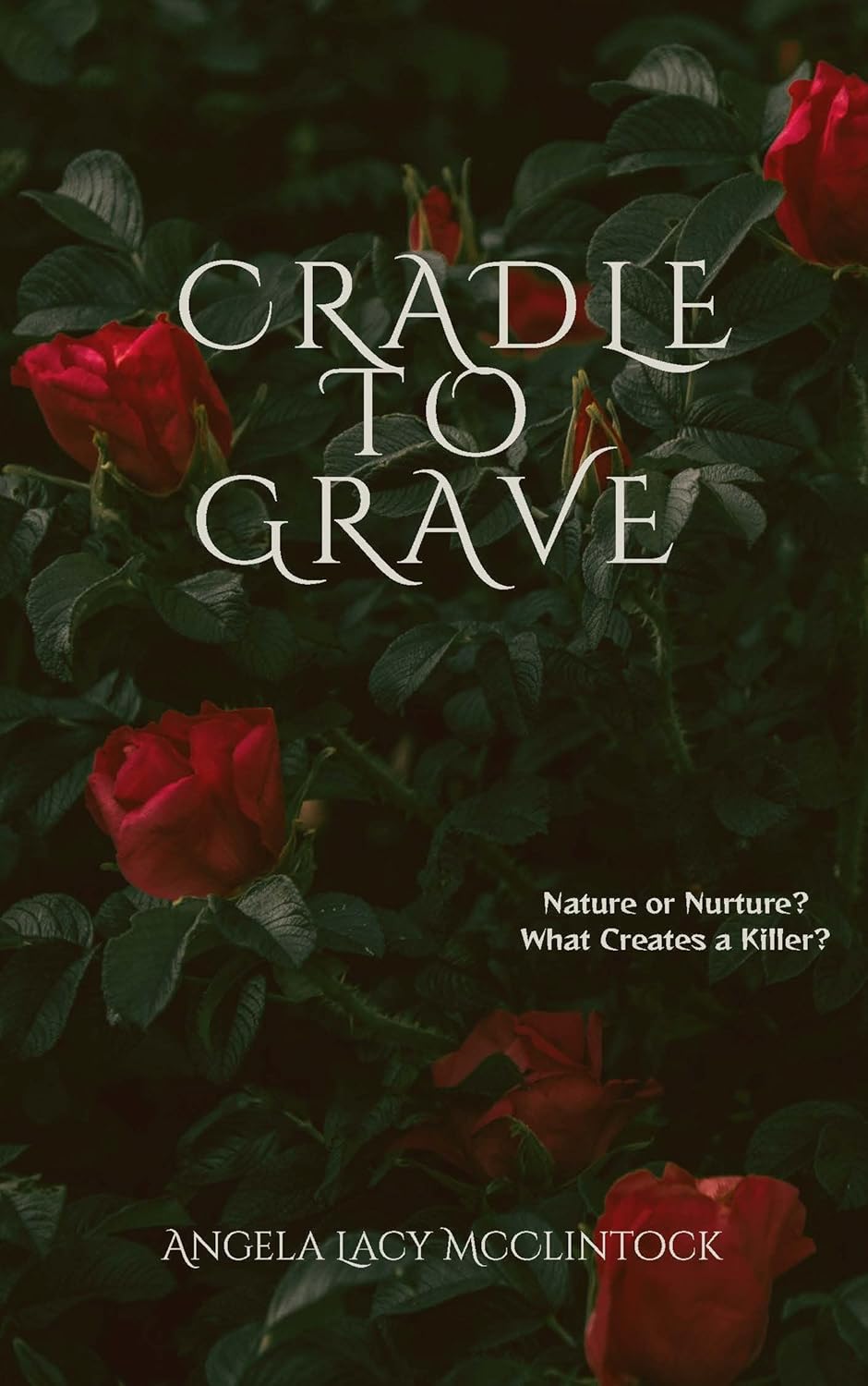 Cradle To Grave      Kindle Edition