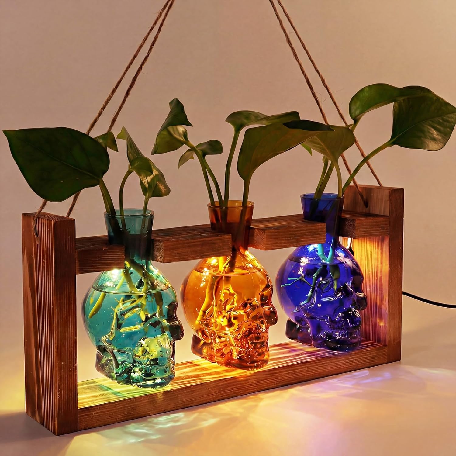 Skull Propagation Station Review: LED Glow Terrarium for Succulents, Cuttings & Halloween Garden Decor