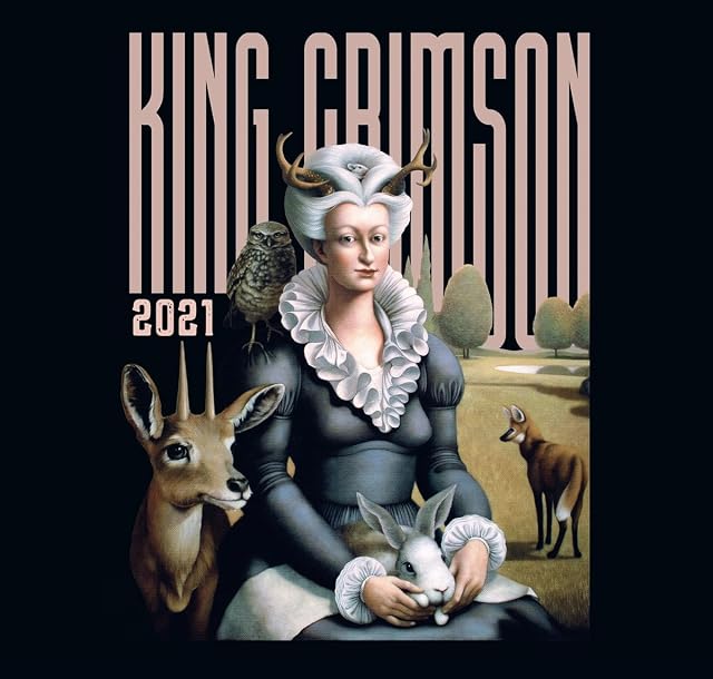 Music Is Our Friend: Live in Washington and Albany, 2021 por King Crimson, capa do álbum