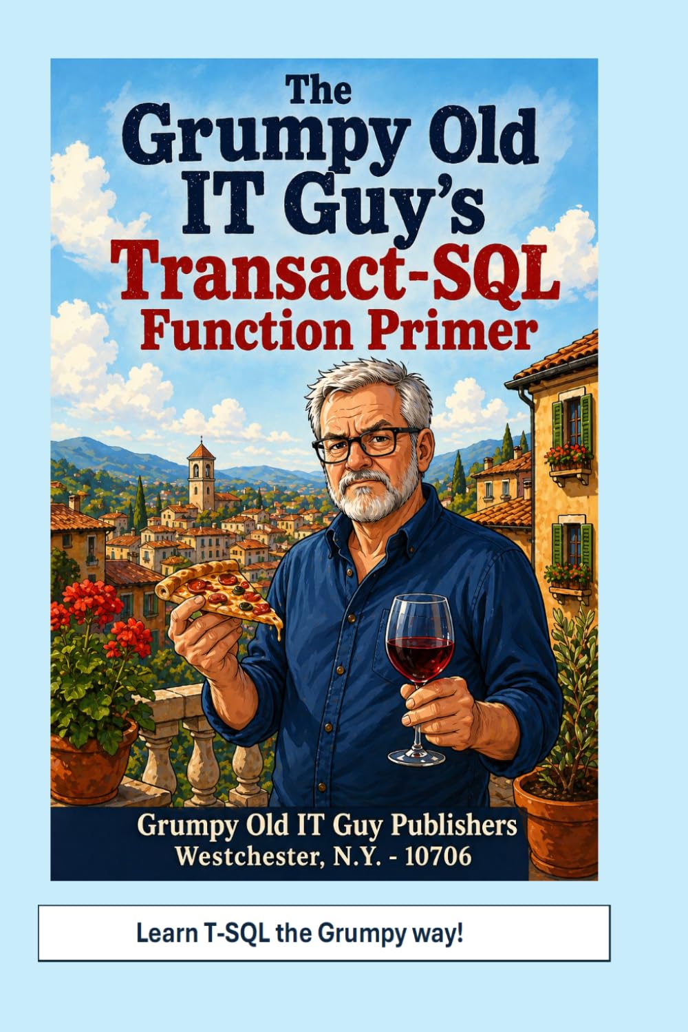 The Grumpy Old IT Guy’s Transact-SQL Function Primer: An Intermediate Primer on Scalar, Table-Valued, and Parameterized Function Implementations with ... Server Programming & Administration Books)
