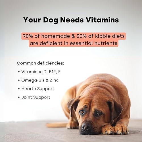Miniatura 3 de Kayode Daily Multi - Multivitamínico y superalimento masticable para perros. Llena los huecos de nutrientes. Ayuda a las articulaciones, la